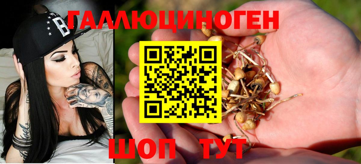 Псилоцибиновые грибы MAGIC MUSHROOMS Северодвинск