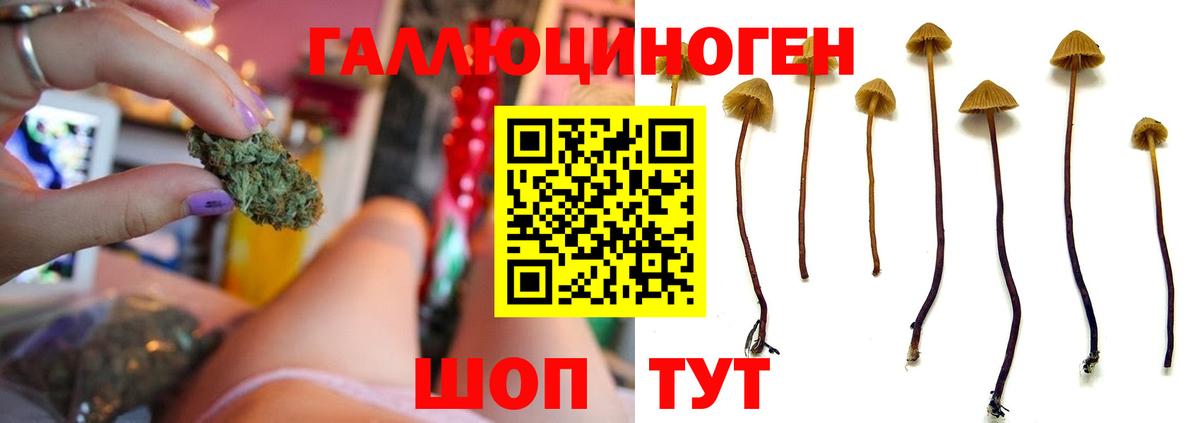 Северодвинск  купить наркотик  Вход с VPN  Псилоцибиновые грибы Psilocybine cubensis  Галлюциногенные грибы мухоморы 